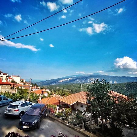 Rapsani Panorama Villa 外观 照片