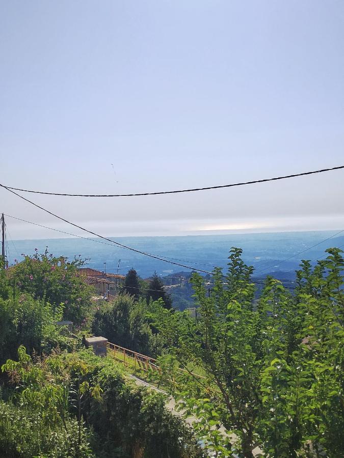 Rapsani Panorama Villa 外观 照片