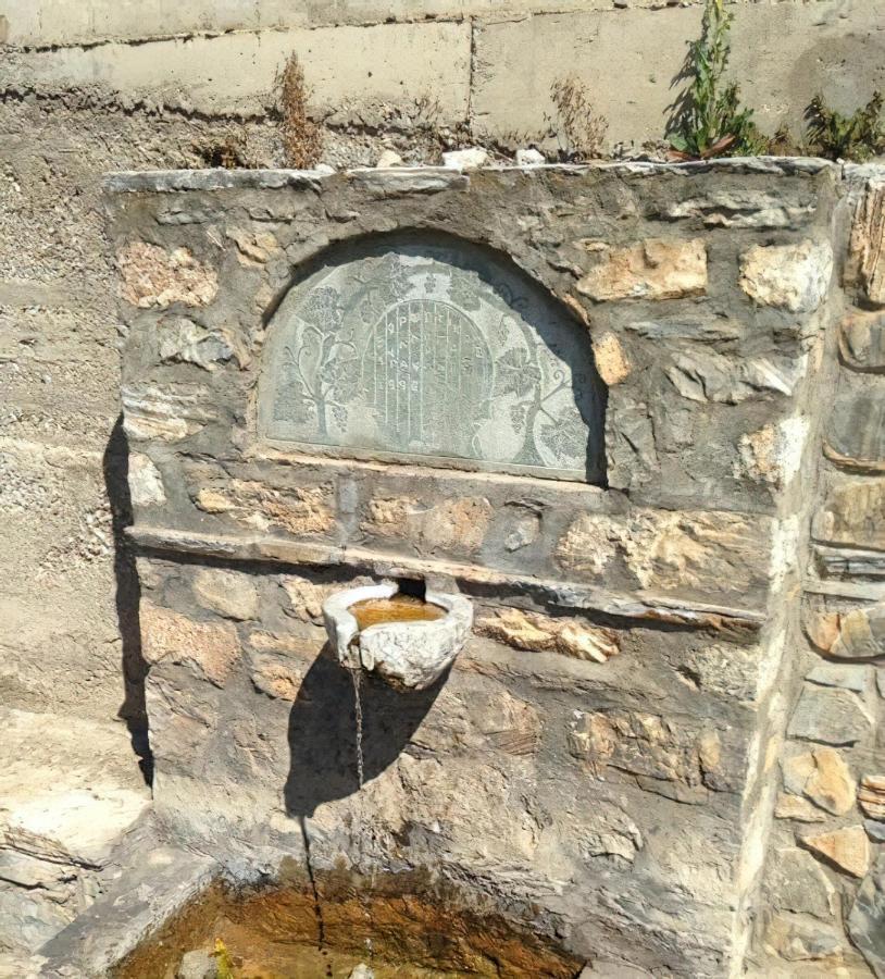 Rapsani Panorama Villa 外观 照片