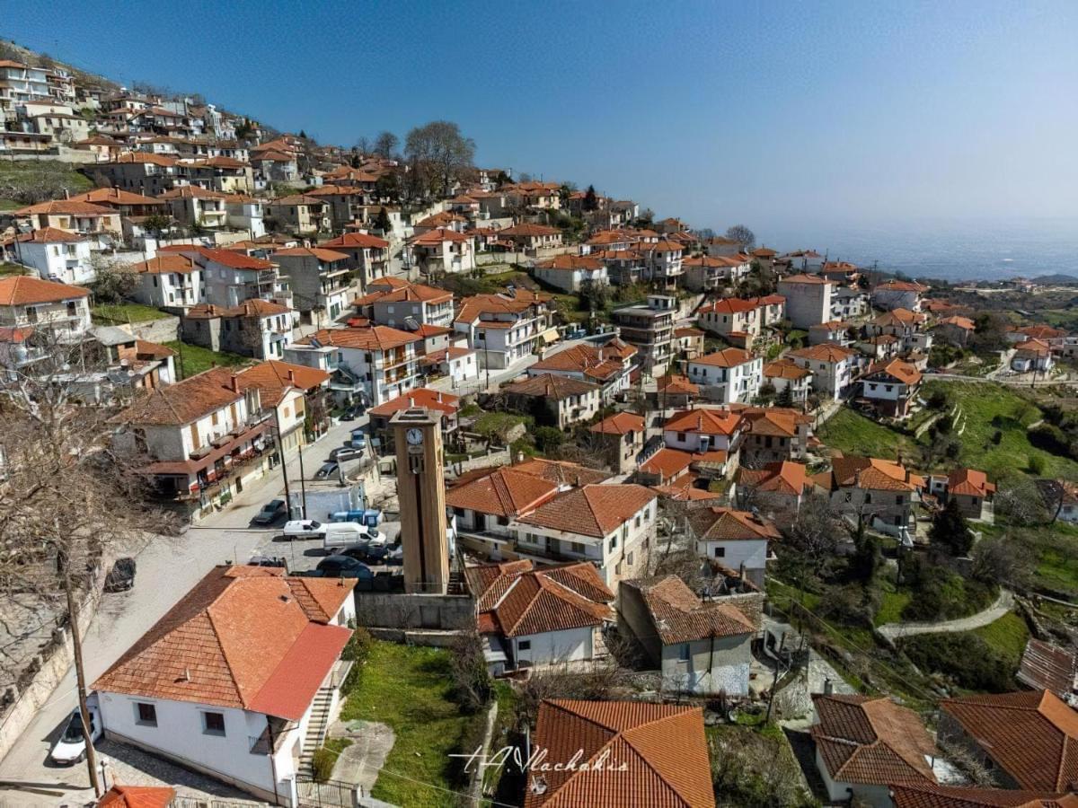 Rapsani Panorama Villa 外观 照片