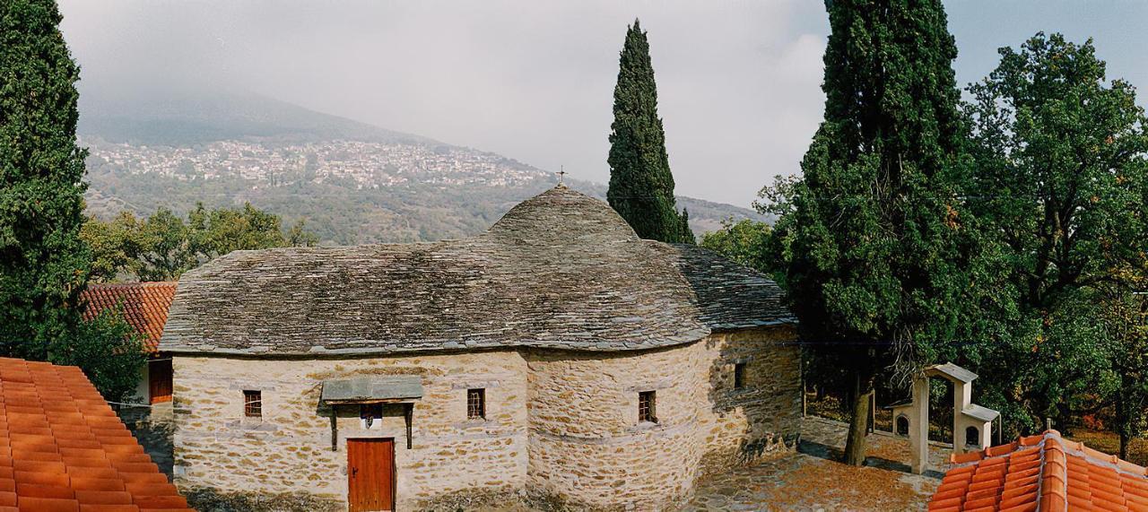 Rapsani Panorama Villa 外观 照片
