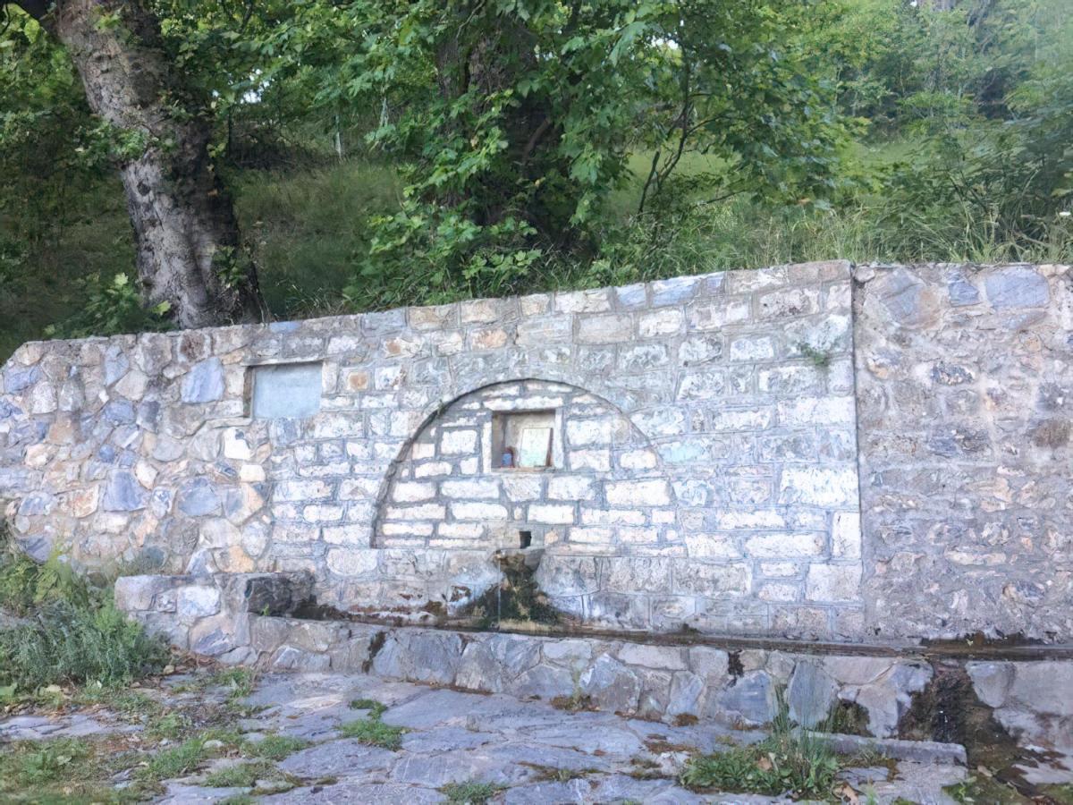 Rapsani Panorama Villa 外观 照片